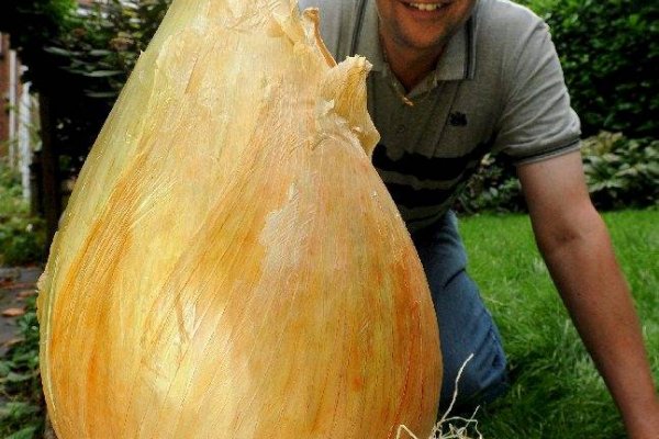 Магазины наркотиков
