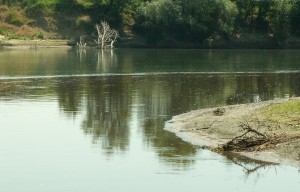 Что такое кракен в интернете