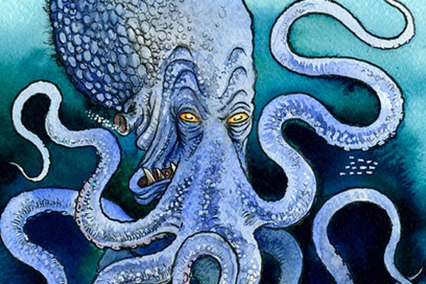 Kraken whitenet зеркала кракен обход