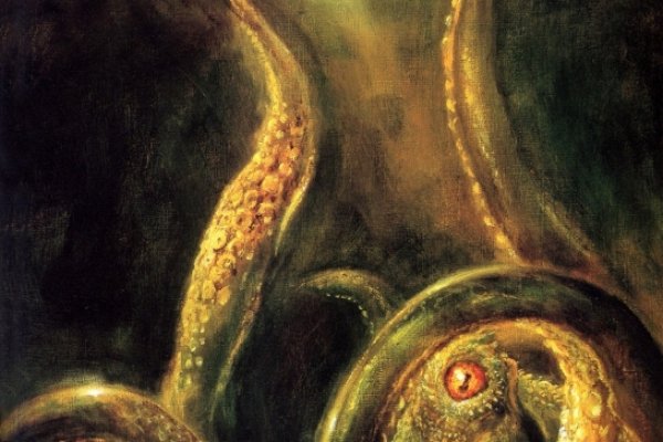 Kraken 18at зеркало