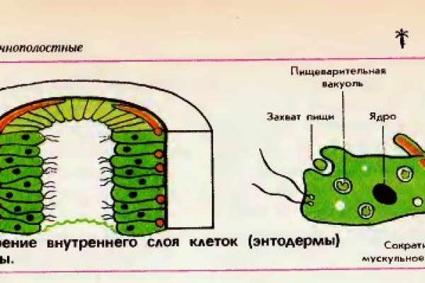 Кракен магазин тор