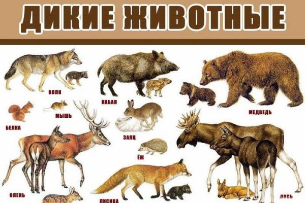 Кракен сайт ссылка онлайн