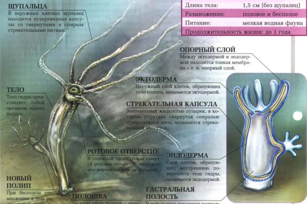 Покупки на кракене супернет