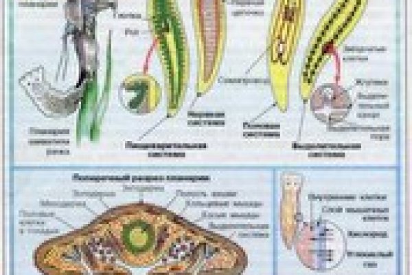 Кракен маркет супернет только через торг