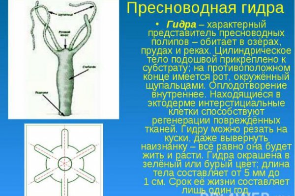 Официальная ссылка на кракен в тор