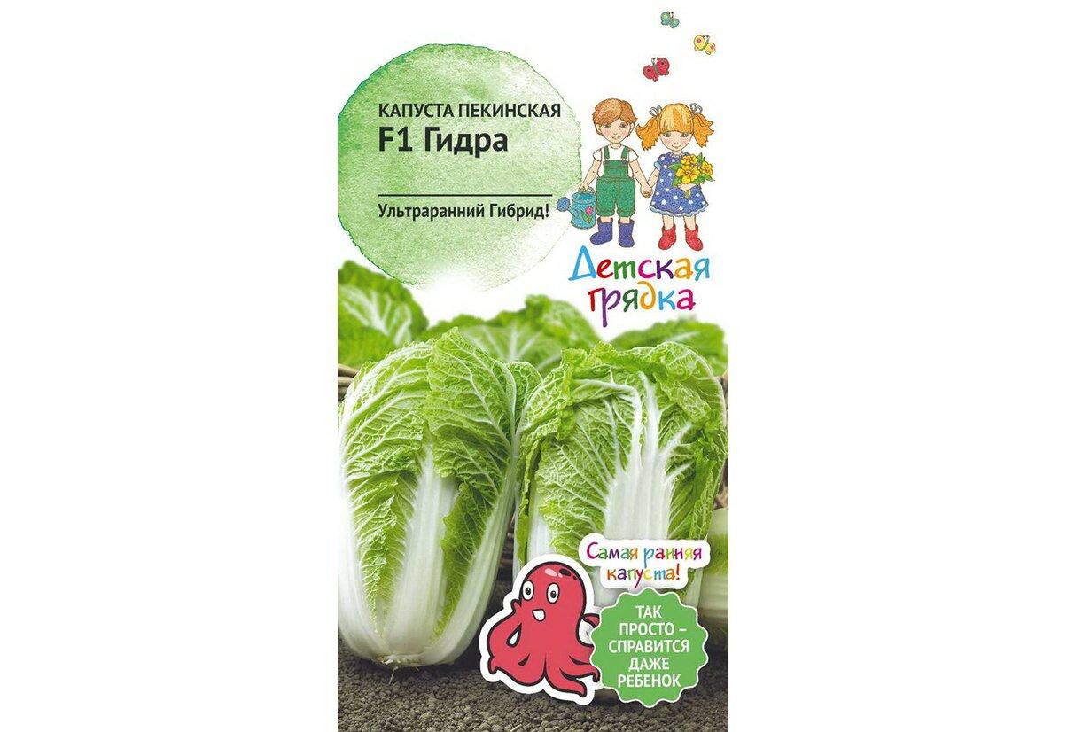 Kraken зеркала gigageek ru