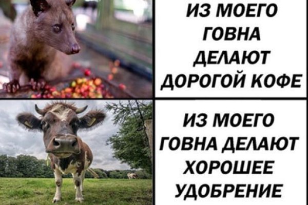 Кракен супернет в тор